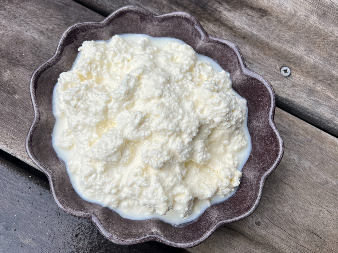 Homemade Cottage Cheese
