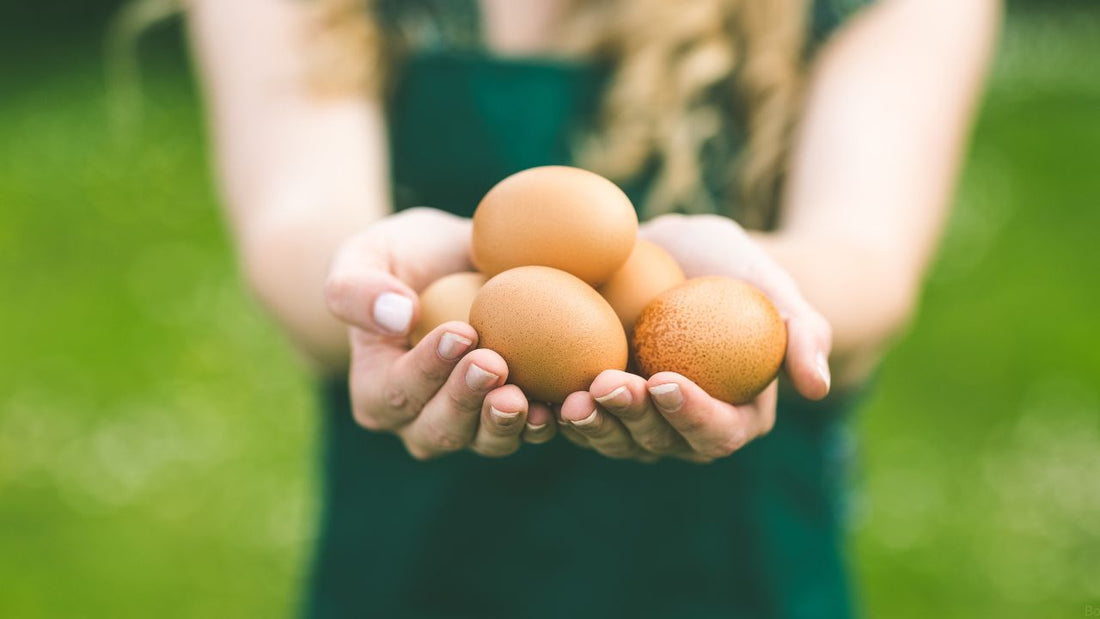 IF YOU LIVE IN WA YOU NEED TO READ THIS!