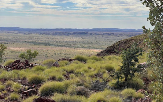 Pilbara Food Tour – A Feast of Fire, Beef and Big Country