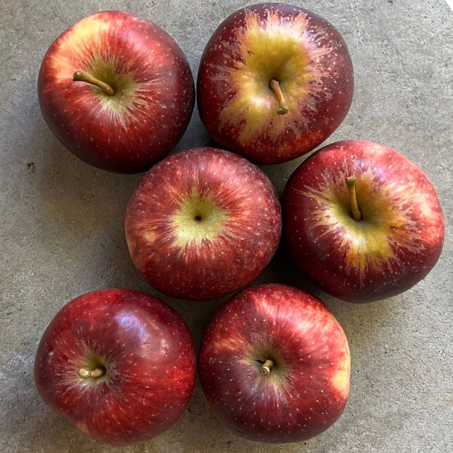 Apples - Cripps (Bravo)