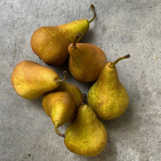 Fruit - Pears Beurre Bosc 1kg NEW SEASON