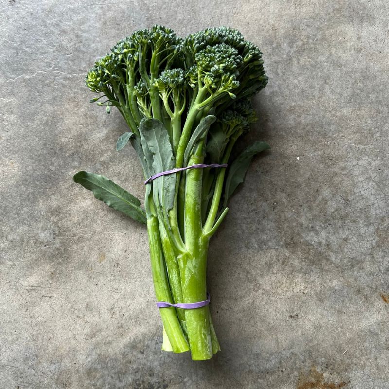 Broccolini bunch green