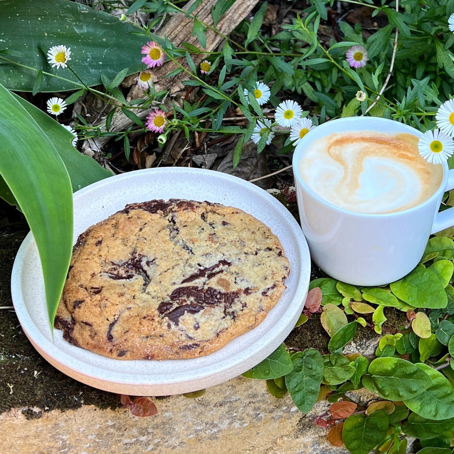Bakery - Cookie Giant Choc Chunk