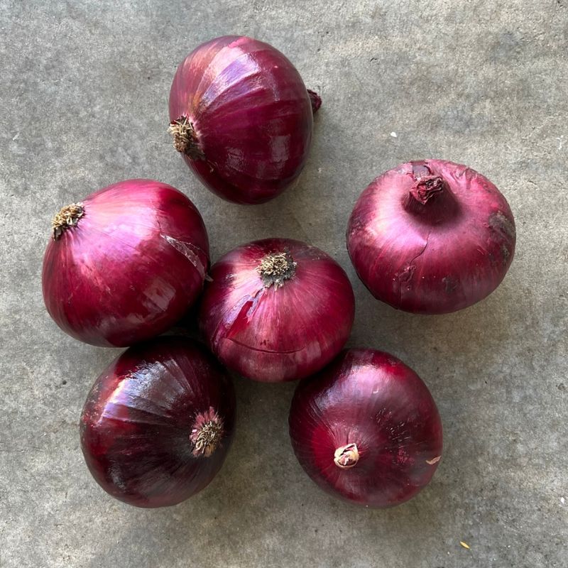 Onions Red 1kg