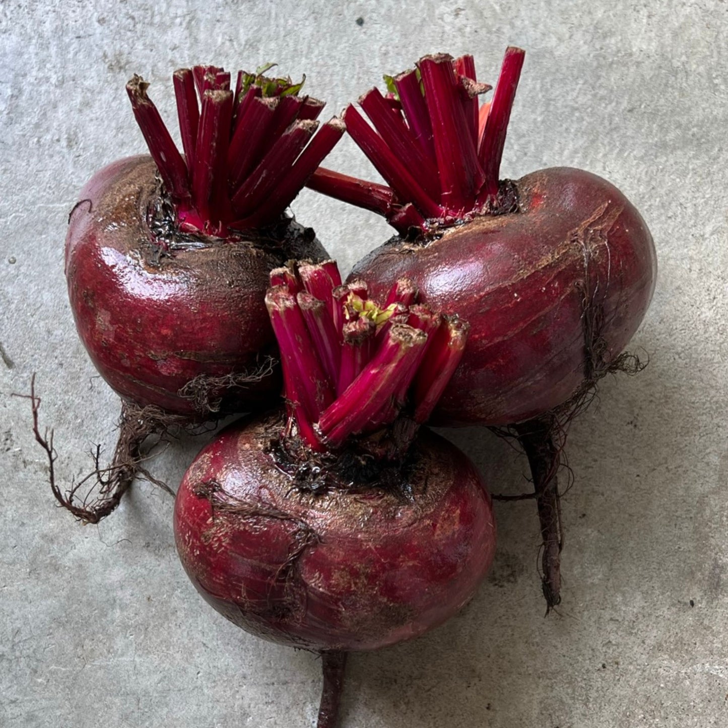 Beetroot bunch
