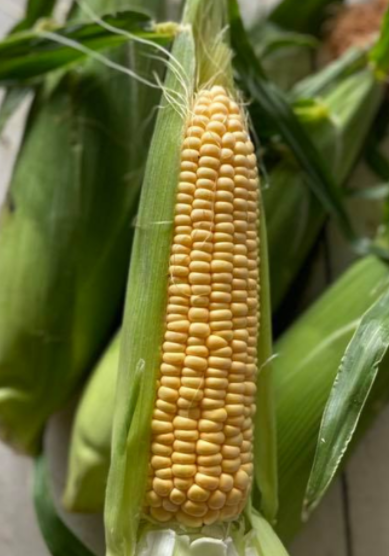 Sweetcorn each