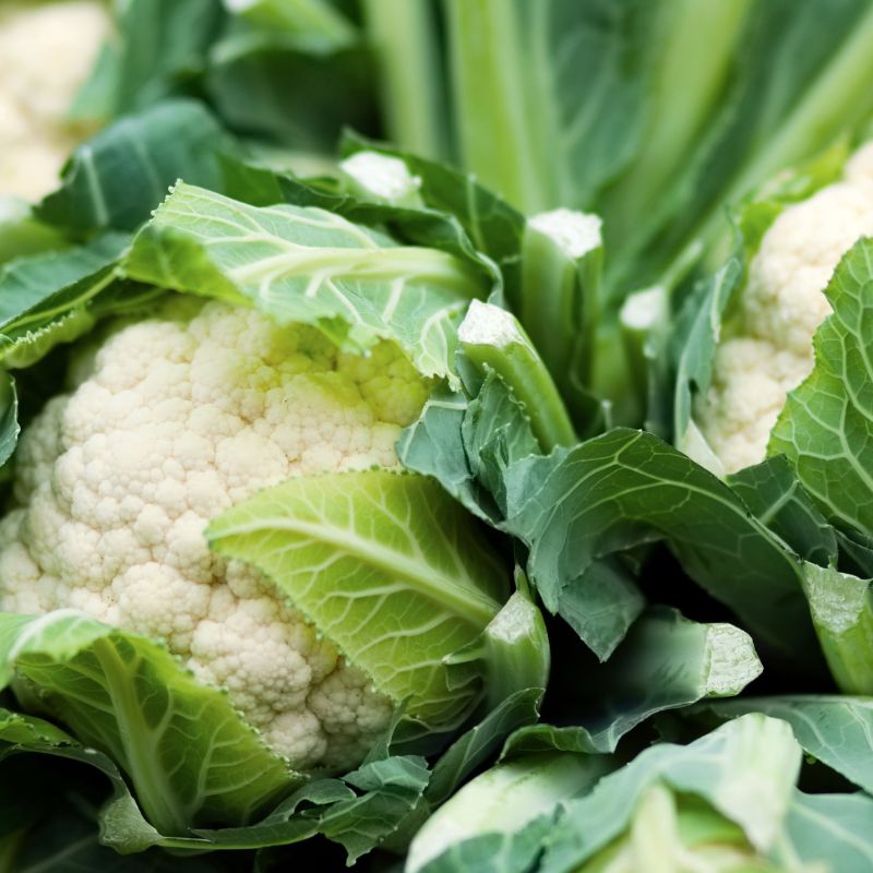 Cauliflower half or whole