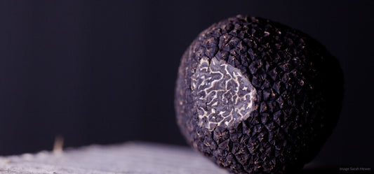Black 'Gold' - Truffles Shrouded in Mystery
