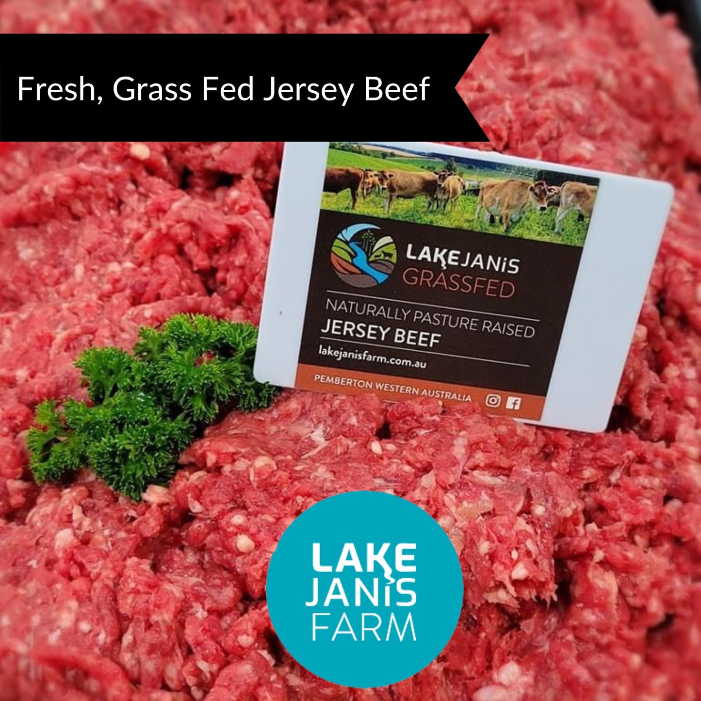 Beef - Mince Premium 500gm Lake Janis Farm