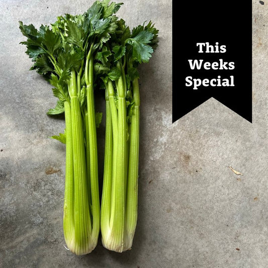 Veg - Celery bunch