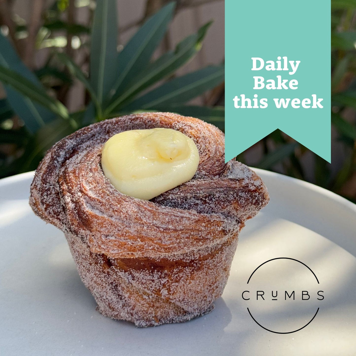 Bakery - Cinnamon Bun Cruffin each