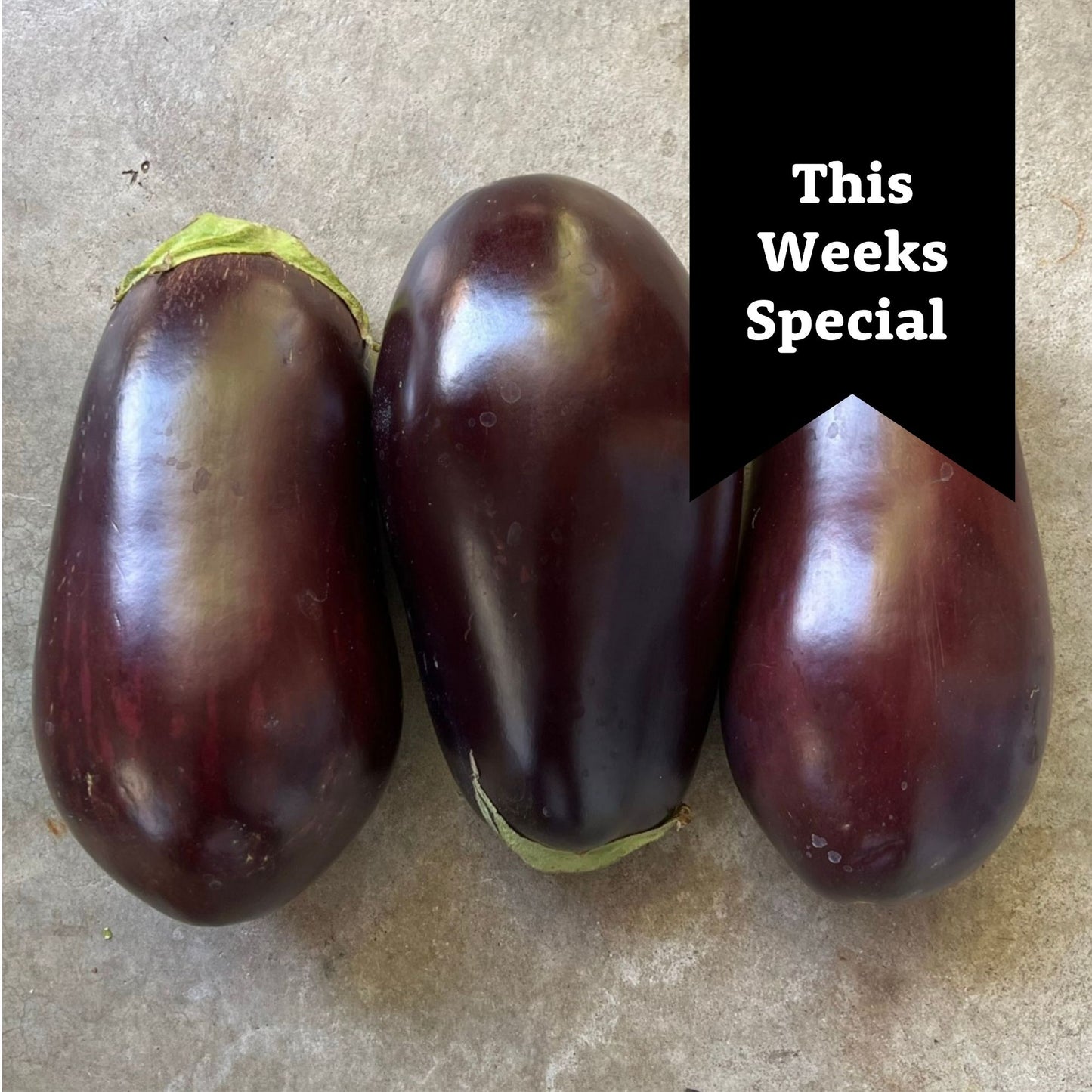 Veg - Eggplant