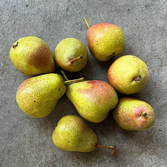 Fruit - Pears Corella 1kg