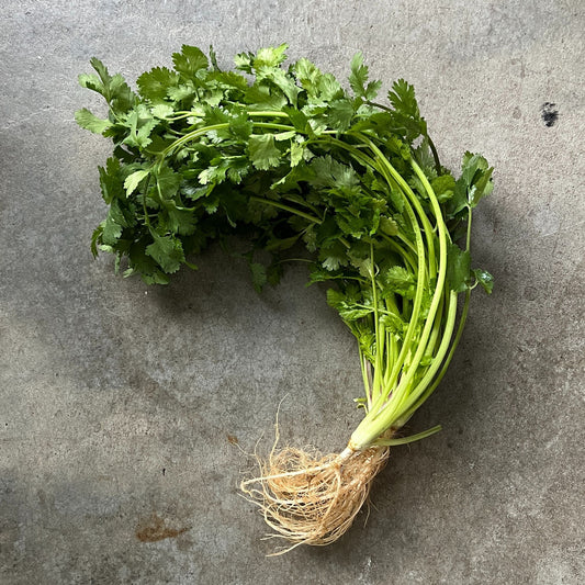 Herb - Coriander approx. 100gm