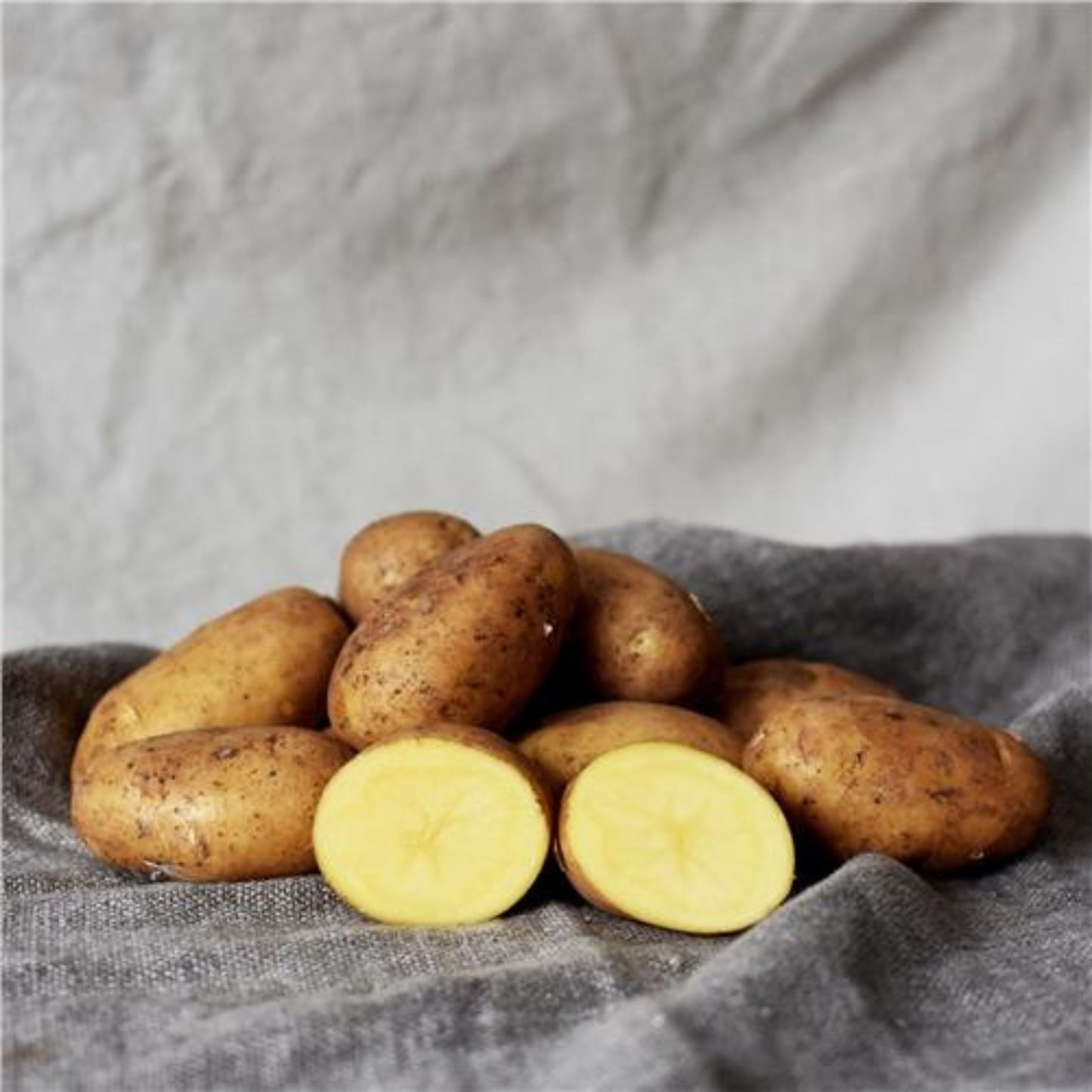 Potatoes - Dutch Cream 1kg