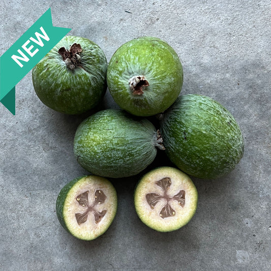 Fruit - Feijoas 500gm