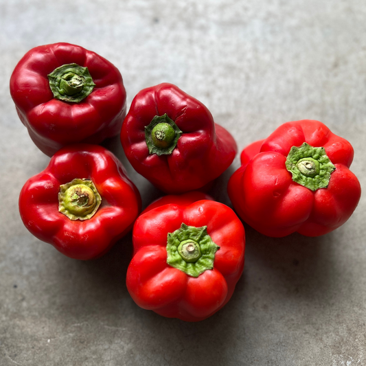 Veg - Capsicum Red