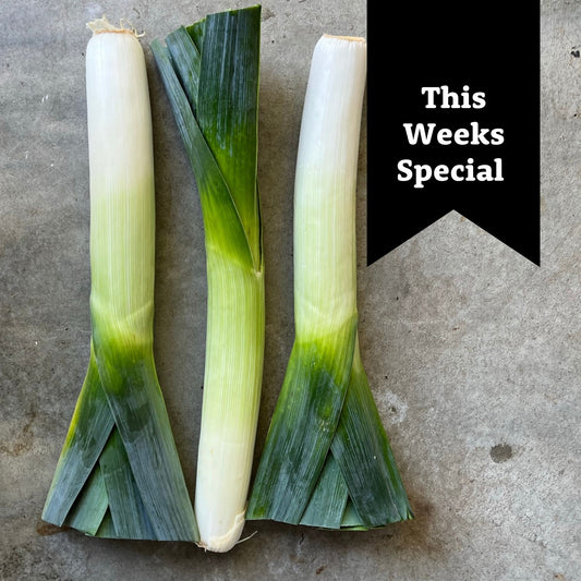 Veg - Leek large - each