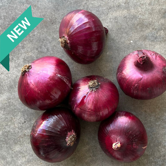 Onions Red 1kg New Season