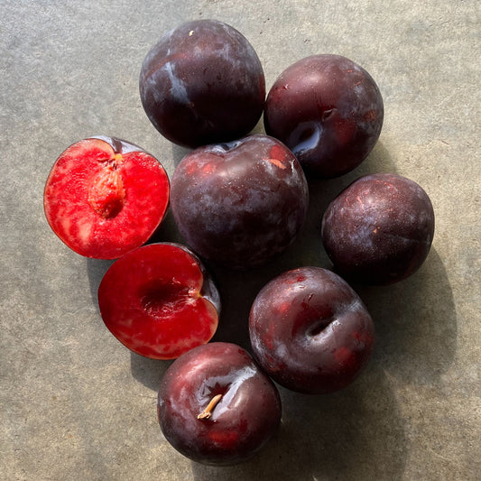 Fruit - Plum Prime Time 1kg