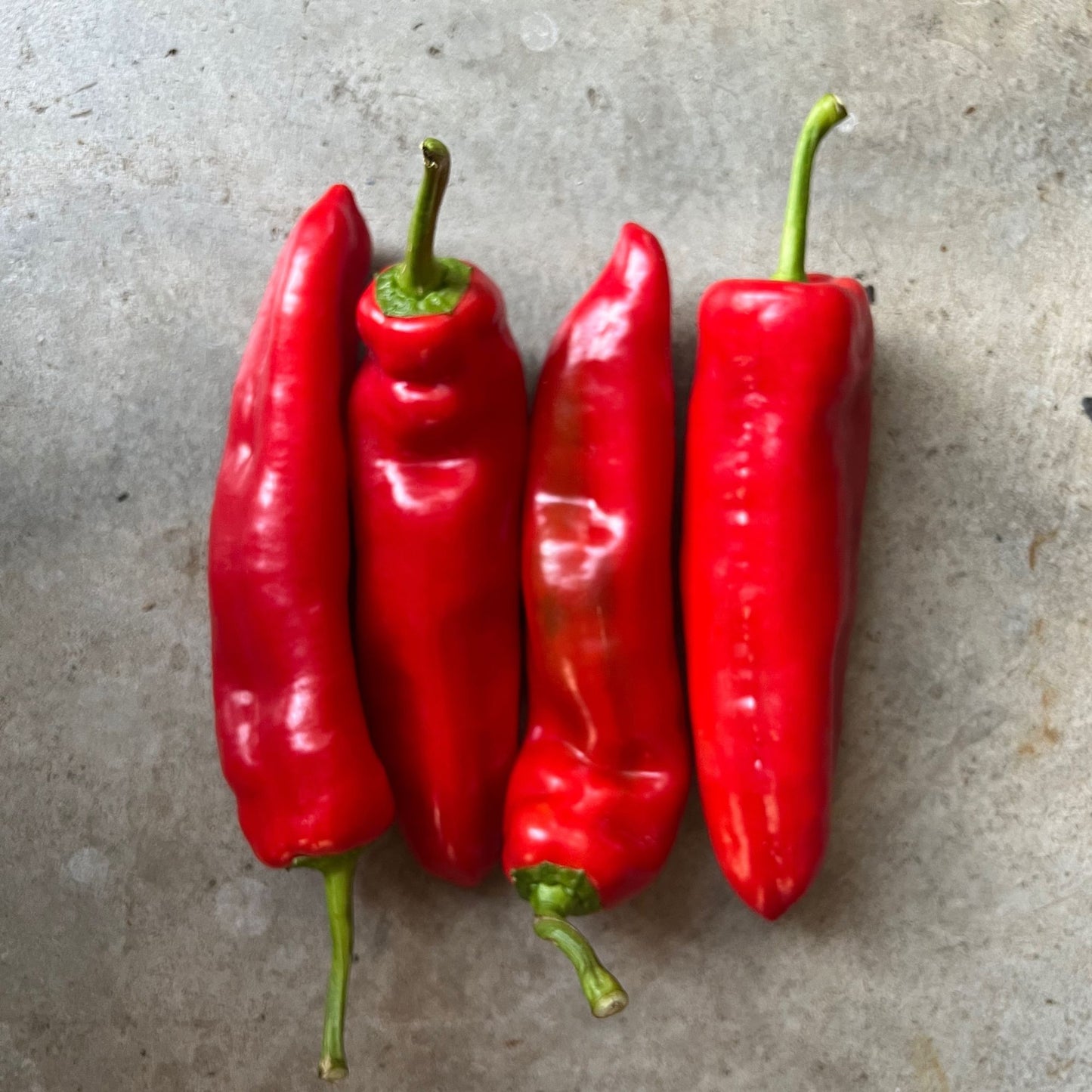 Veg - Paprika Capsicum each