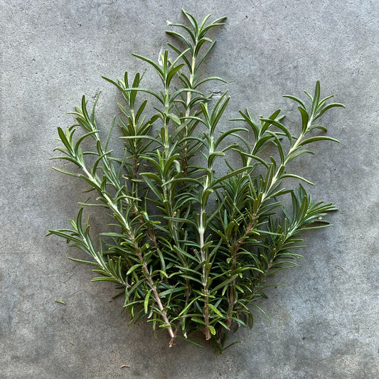 Herb - Rosemary 20gm