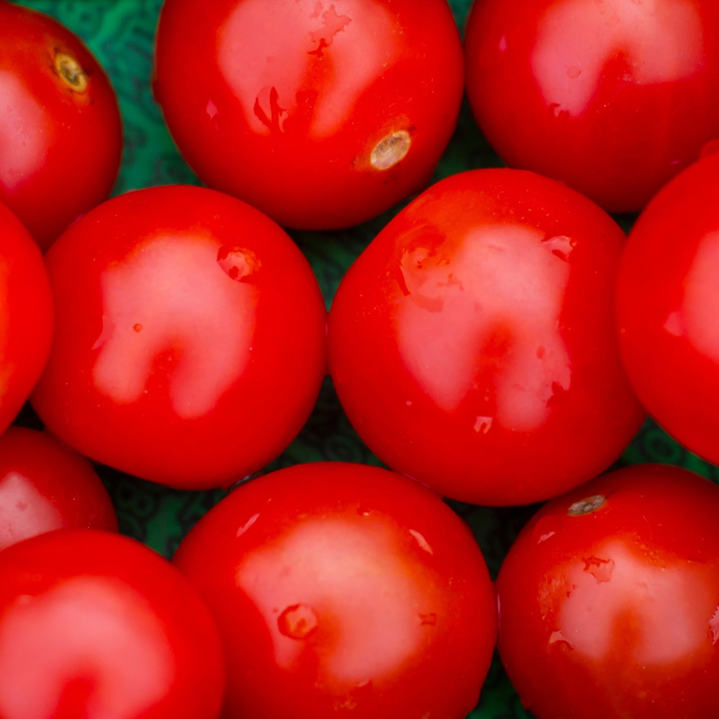Tomatoes - round medium 1kg WA