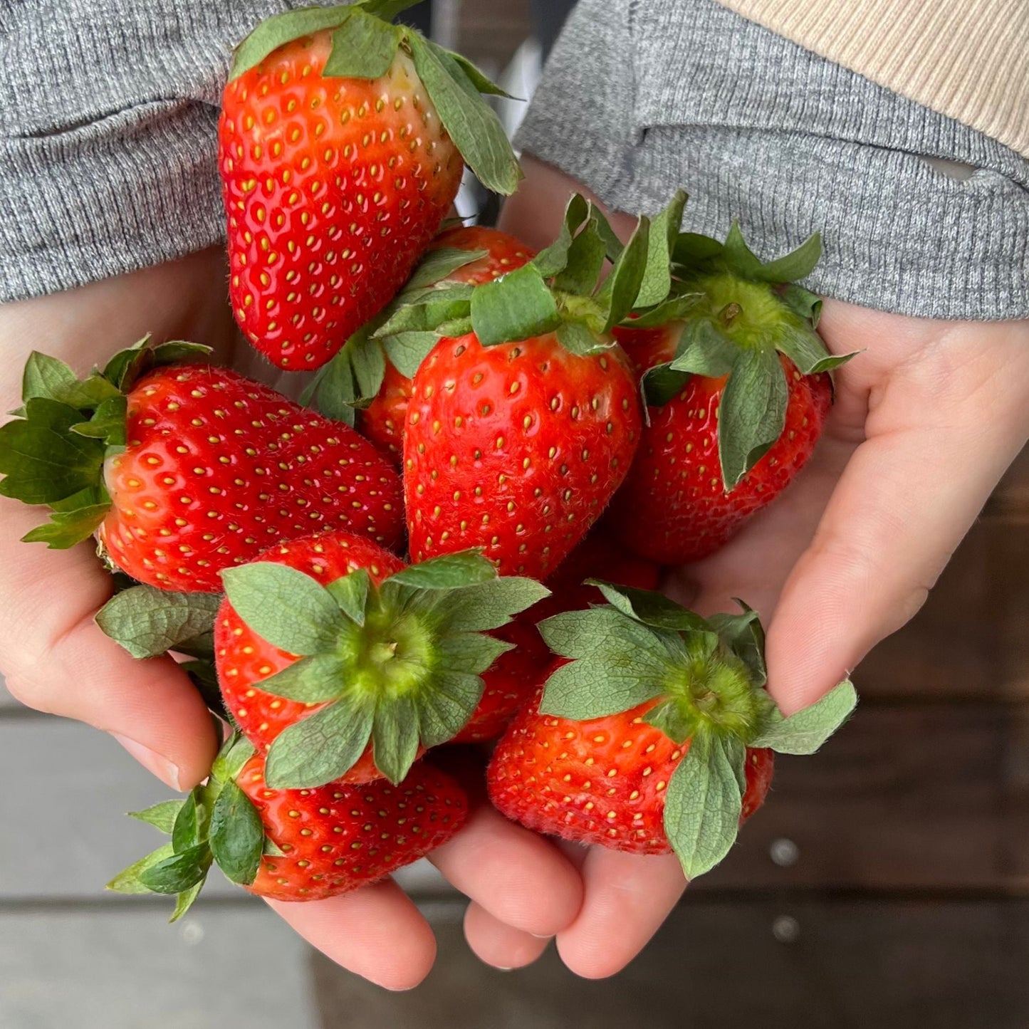 Fruit - Strawberries 250gm