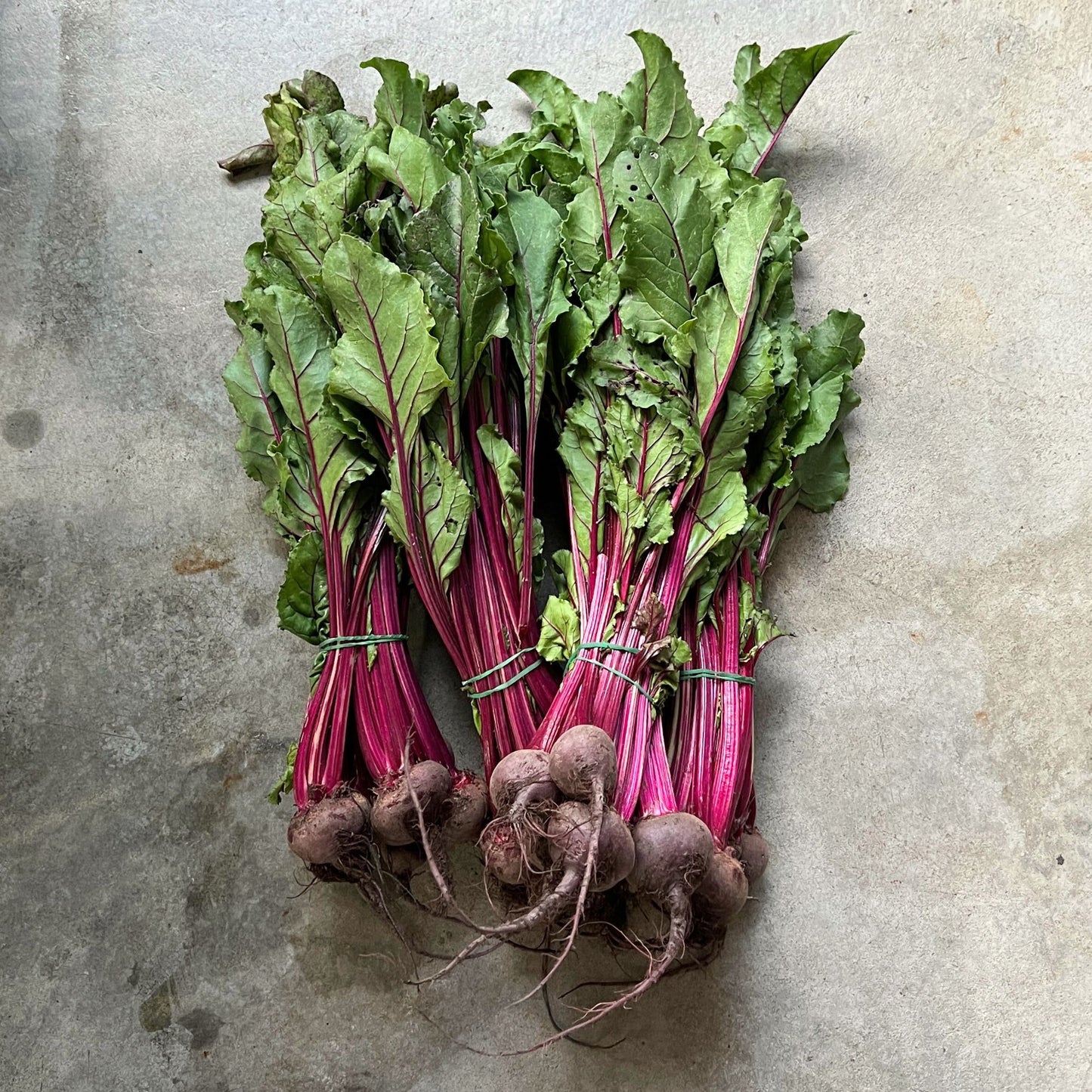 Veg - Beetroot baby bunch