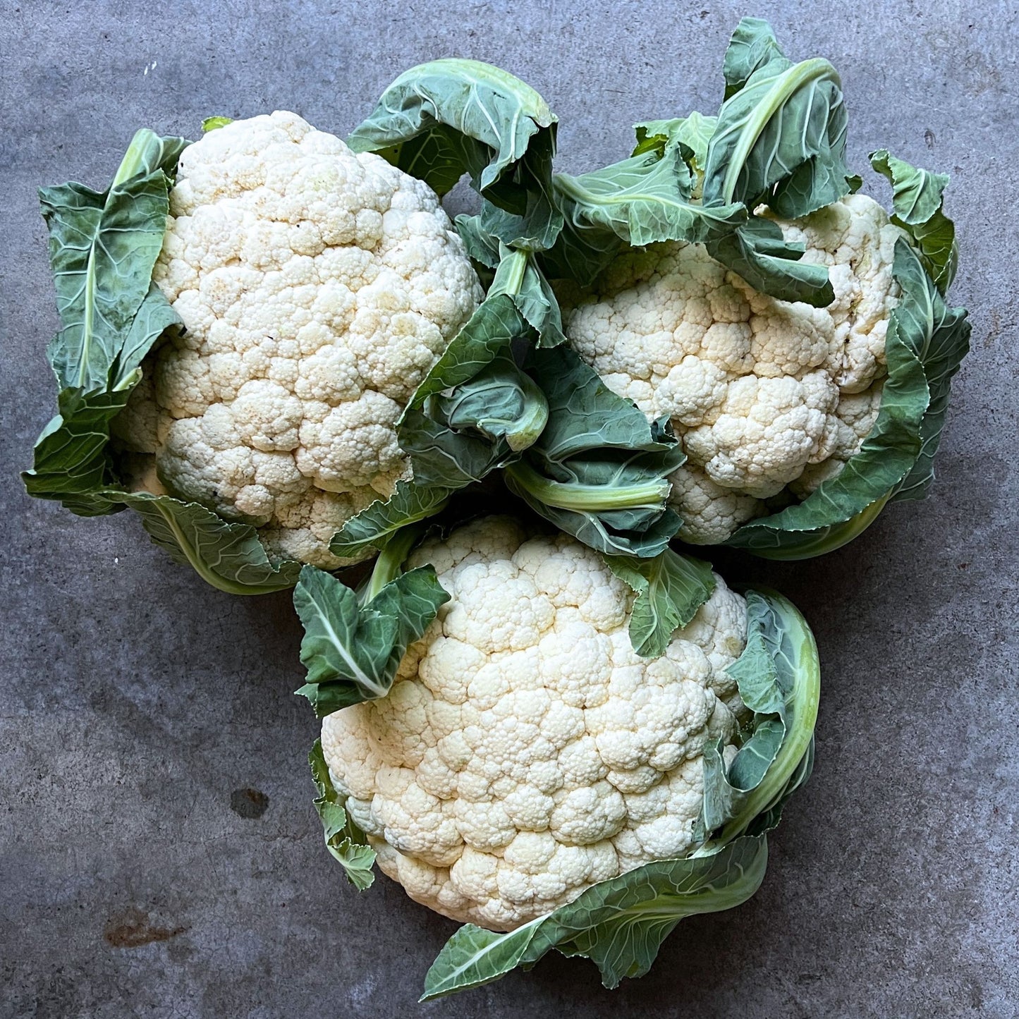 Veg - Cauliflower whole