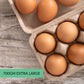 Eggs Pastured 1 dozen 700g Extra Large