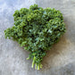 Veg - Kale medium bunch