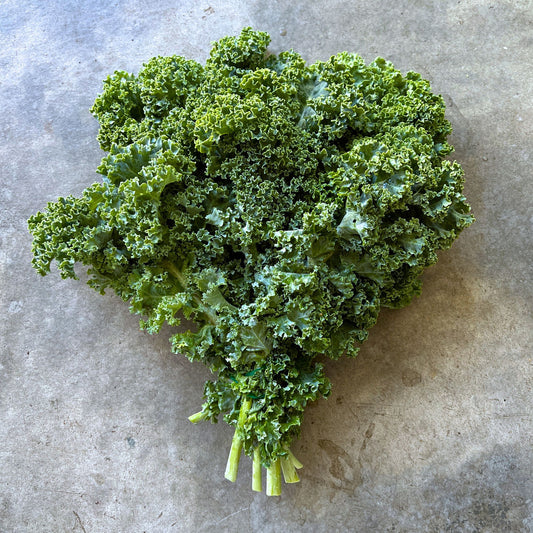Kale - medium bunch