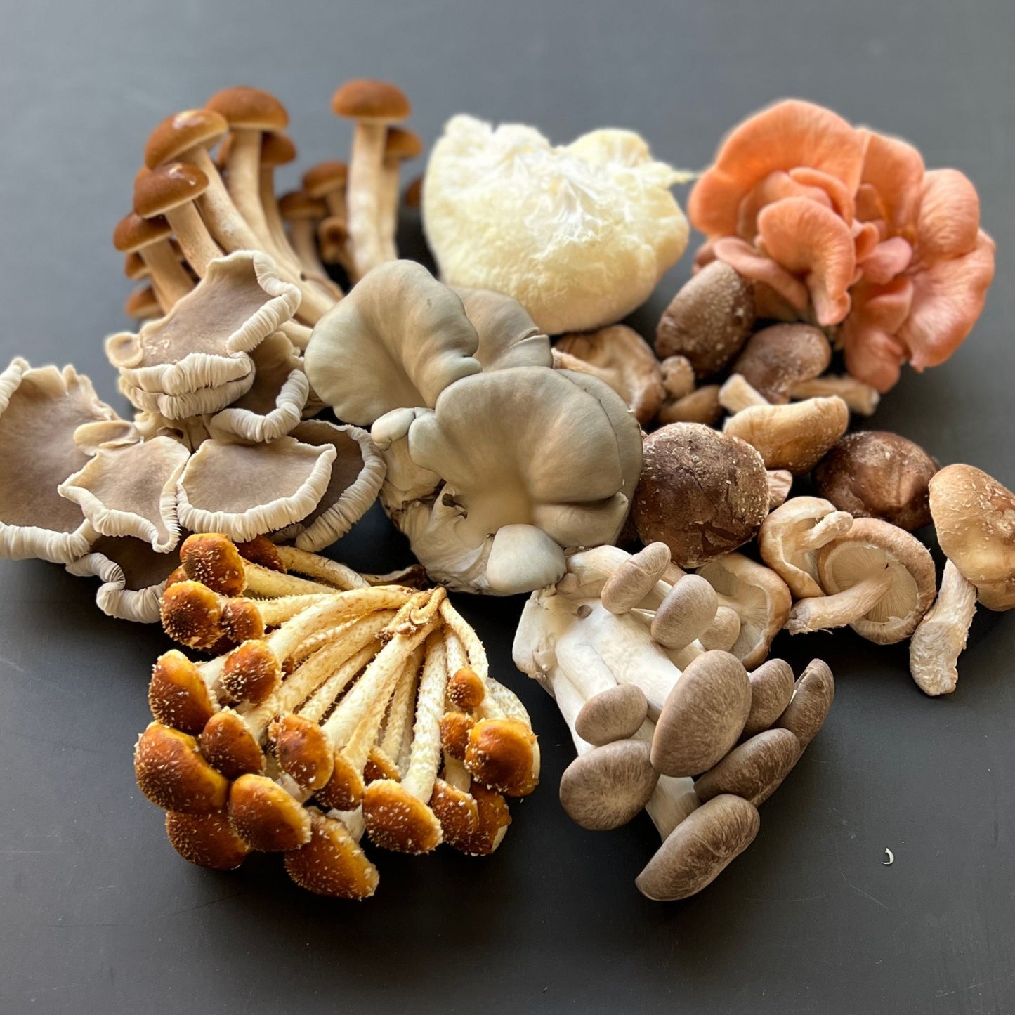 Mushrooms various varieties 150gm pack