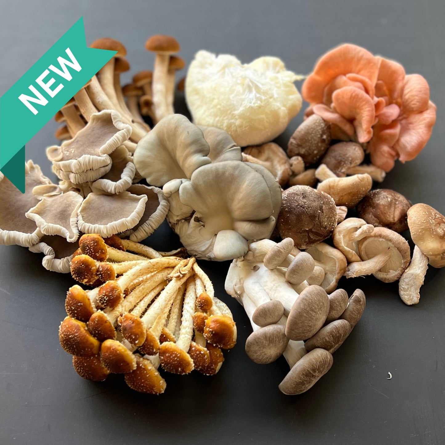 Mushrooms various varieties 150gm pack