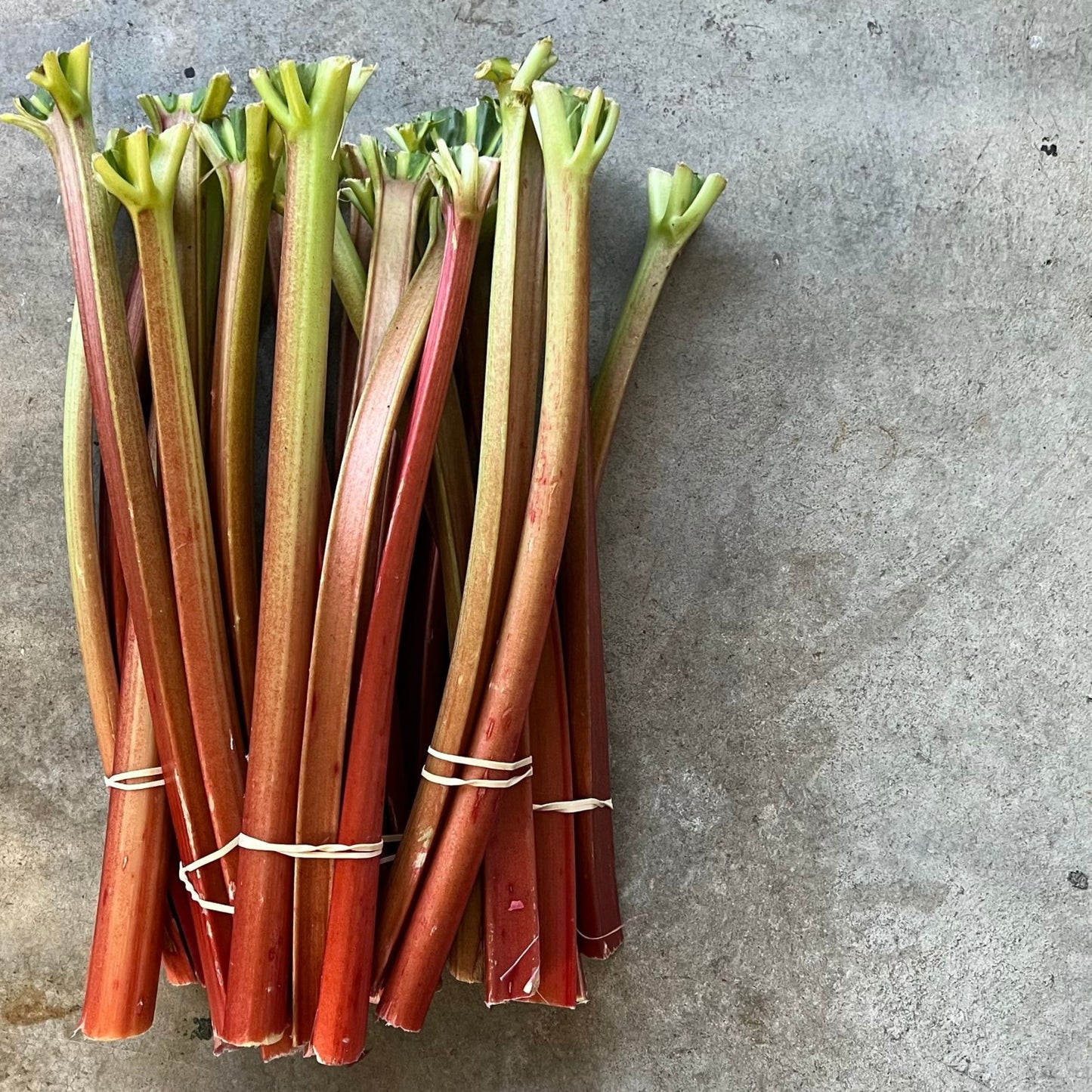 Fruit - Rhubarb bunch