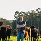 Beef - Diced 500gm Lake Janis Farm