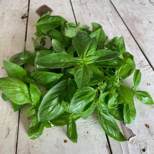 Herbs fresh - Basil approx. 100 gm