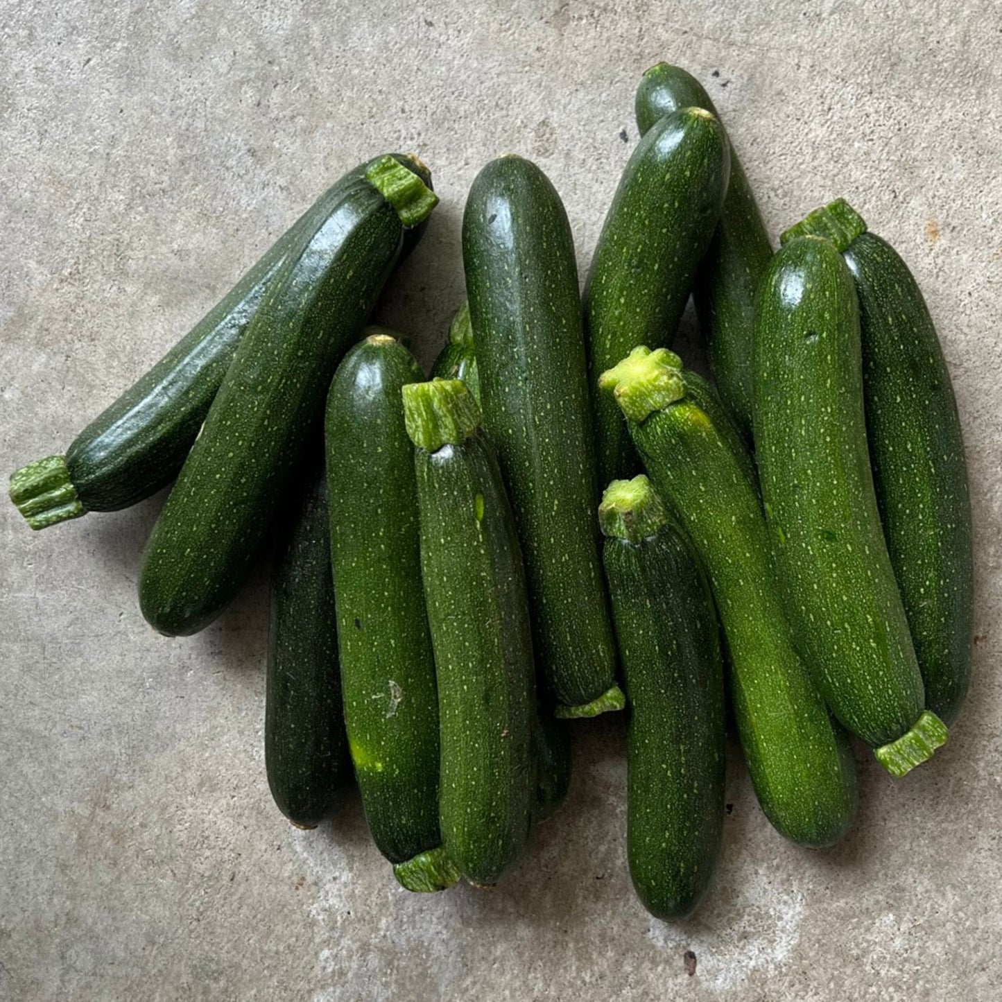 Courgette baby 500gm