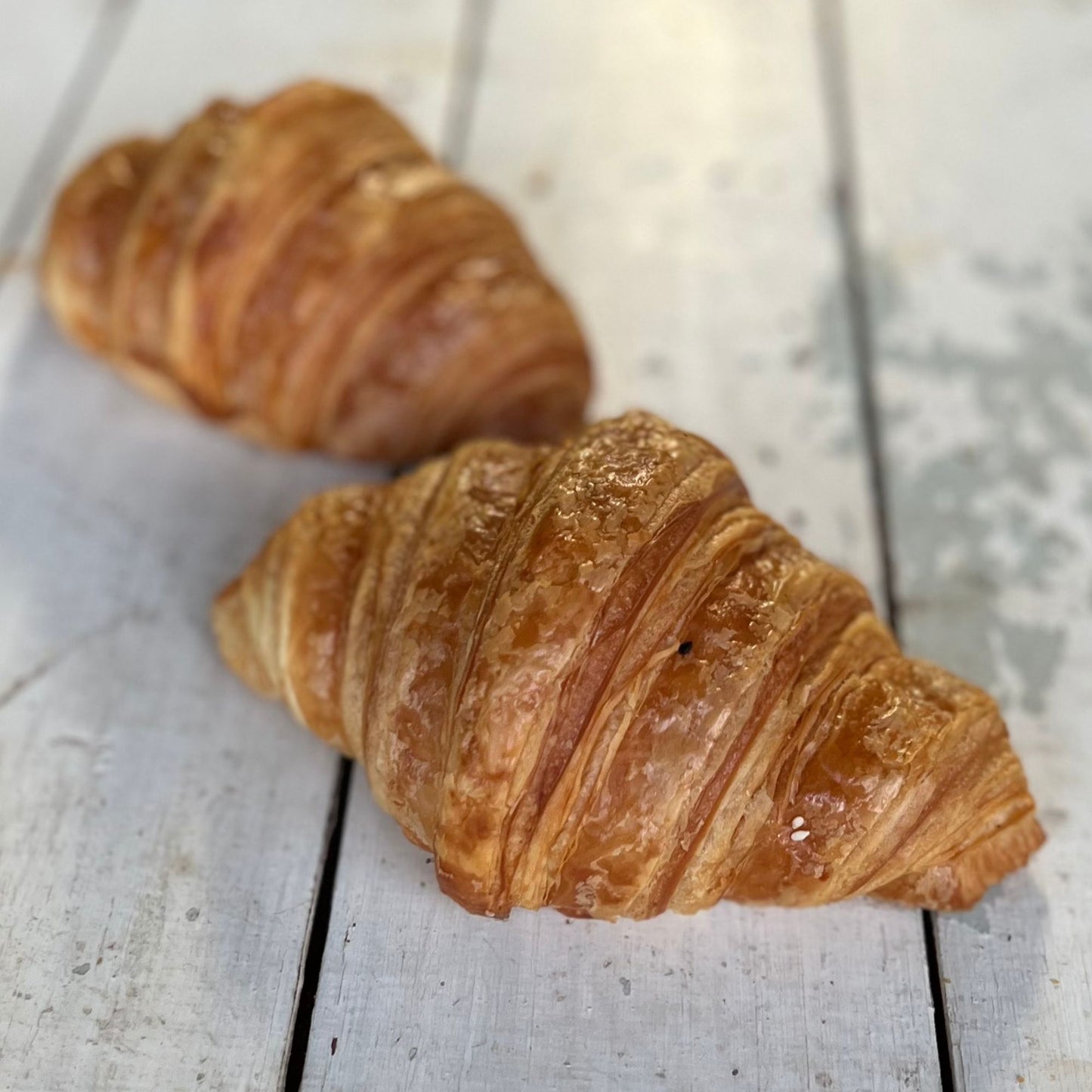 Bakery - Croissant Plain