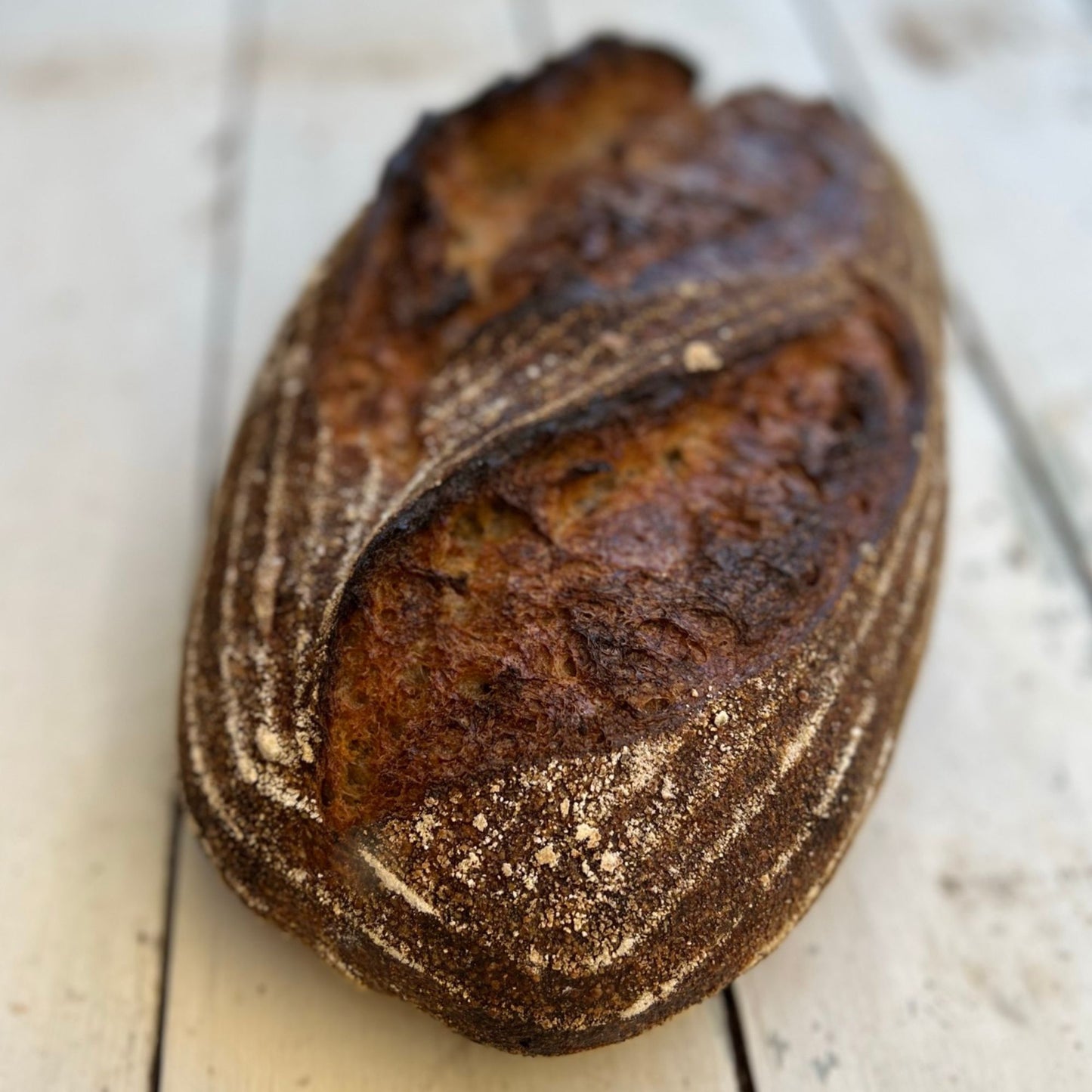 Bread - Wholemeal Freo-Sour Loaf