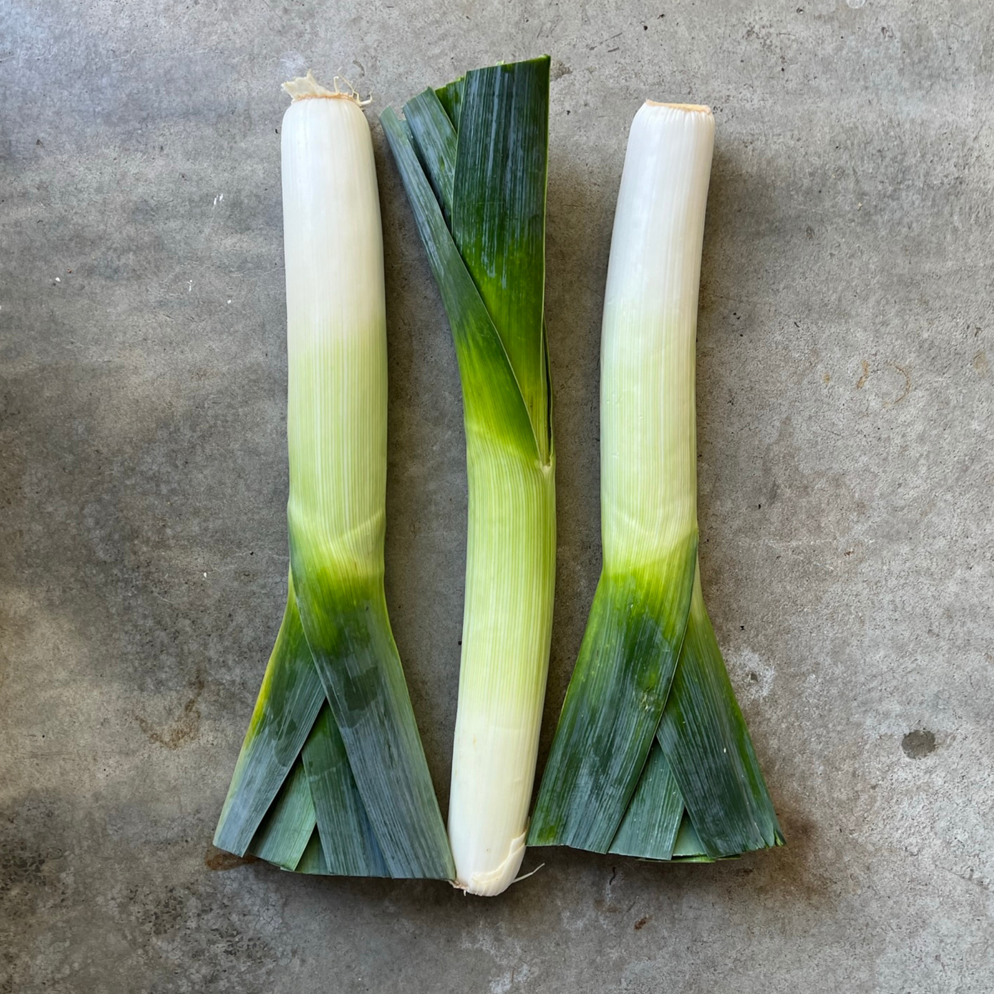 Veg - Leek large - each