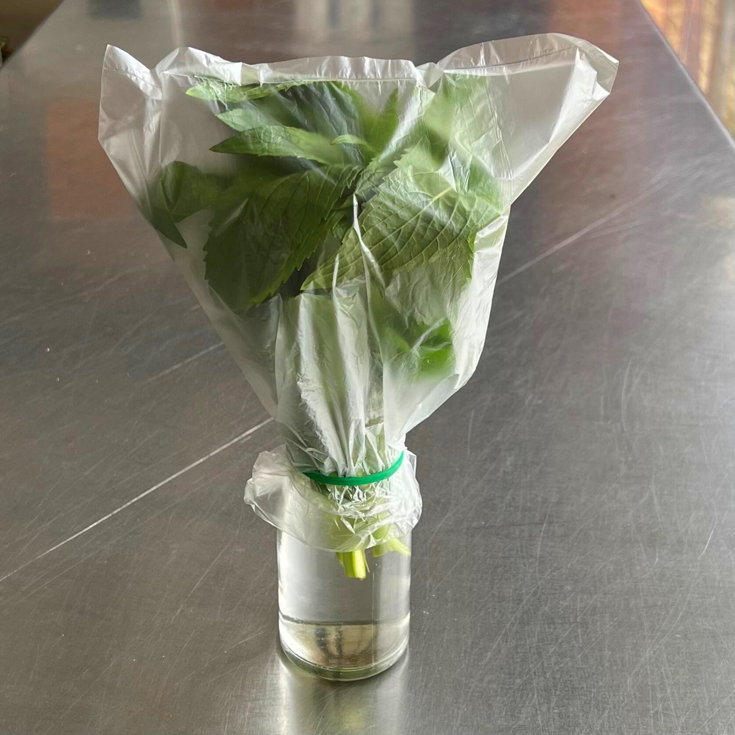 Herb fresh - Mint spearmint large bunch