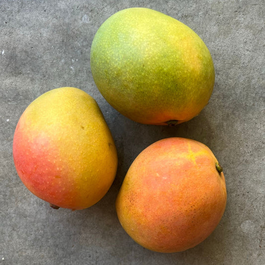 Mango - Kensington Pride medium