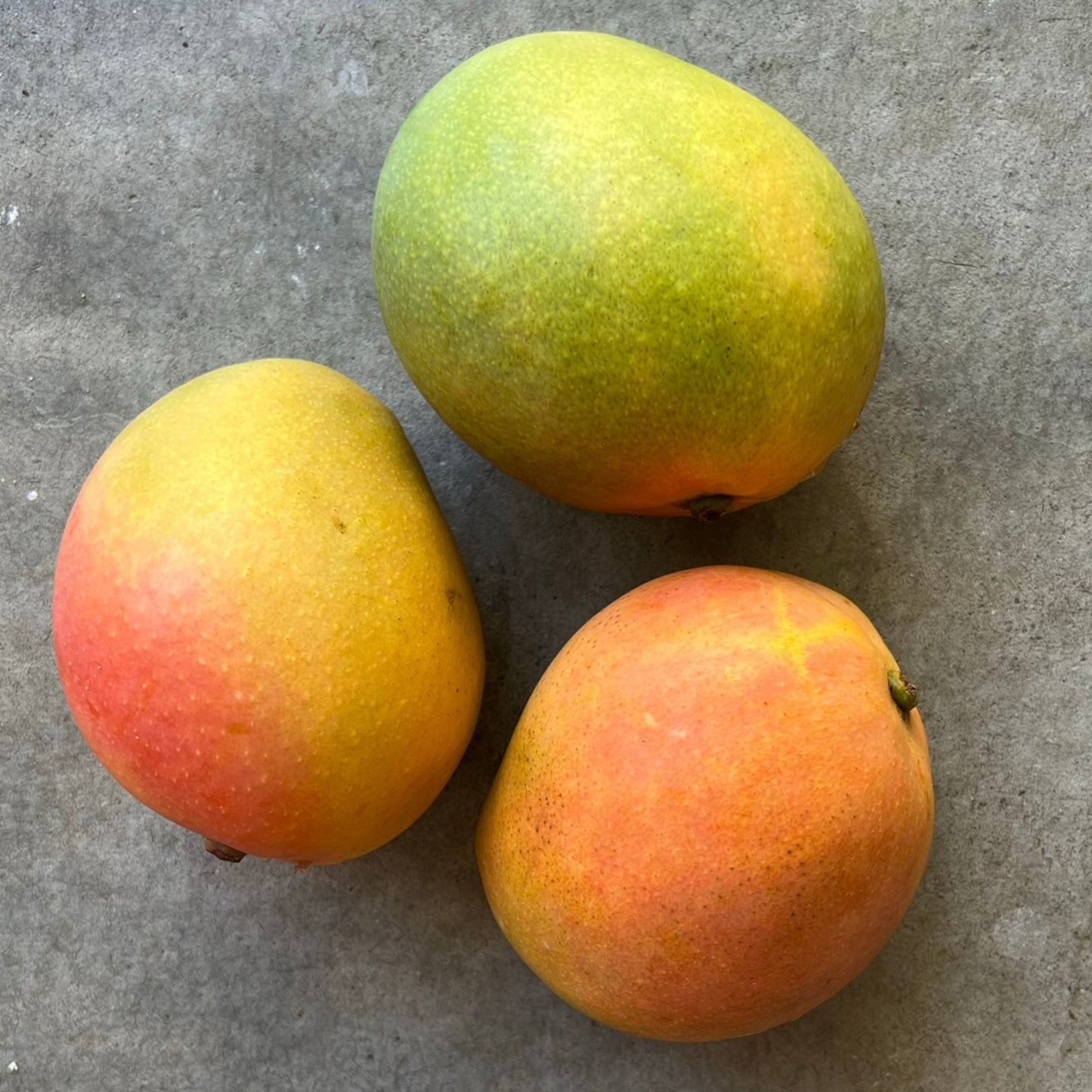 Fruit - Mango KP medium