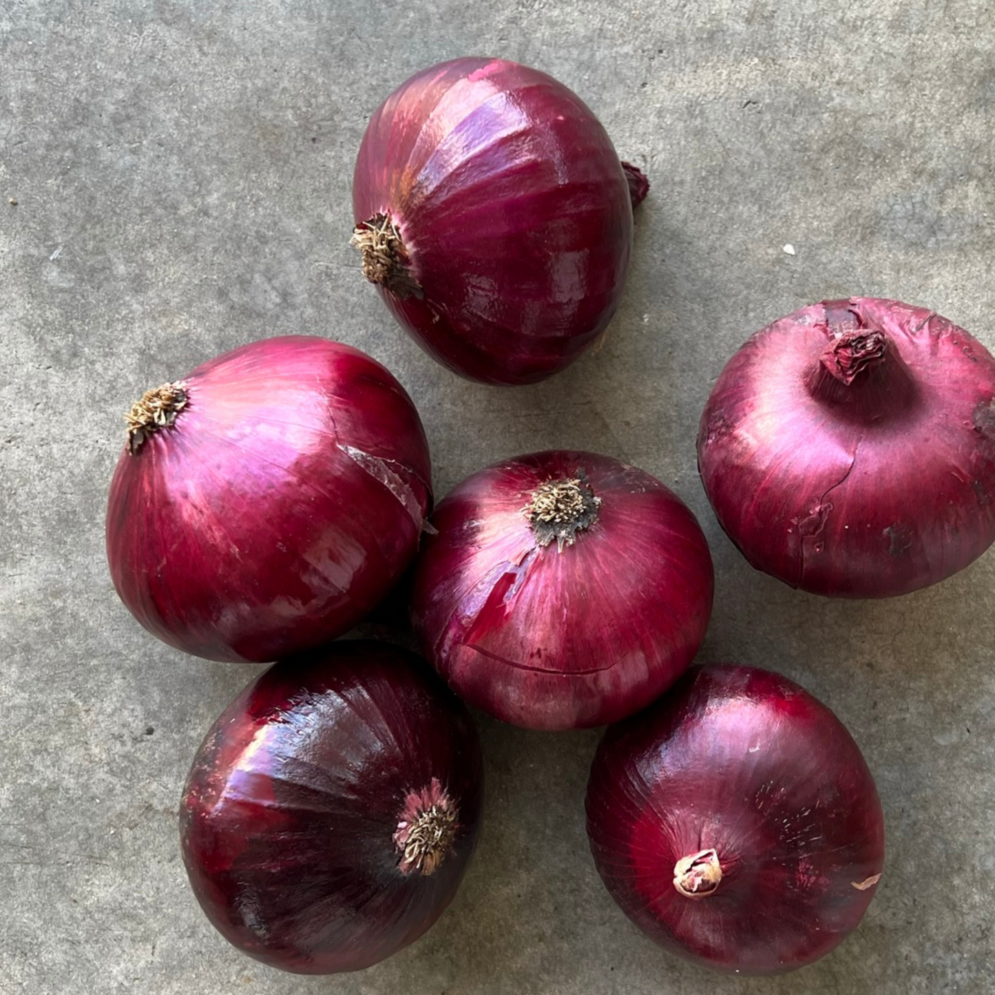 Onions Red 1kg New Season