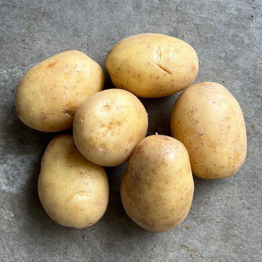 Potatoes - Orchestra white, washed 1kg