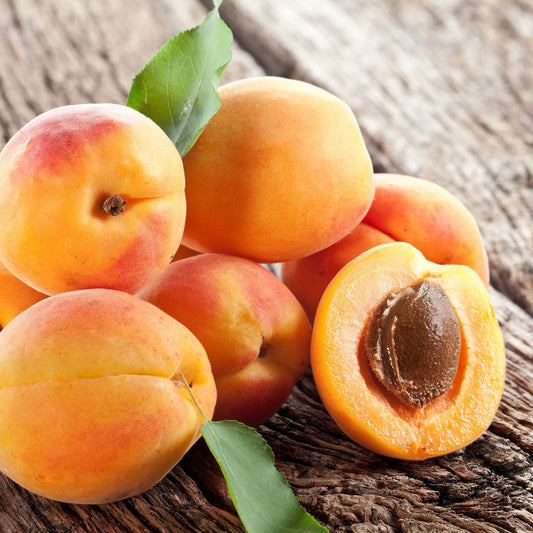 Apricots Golden Sweet