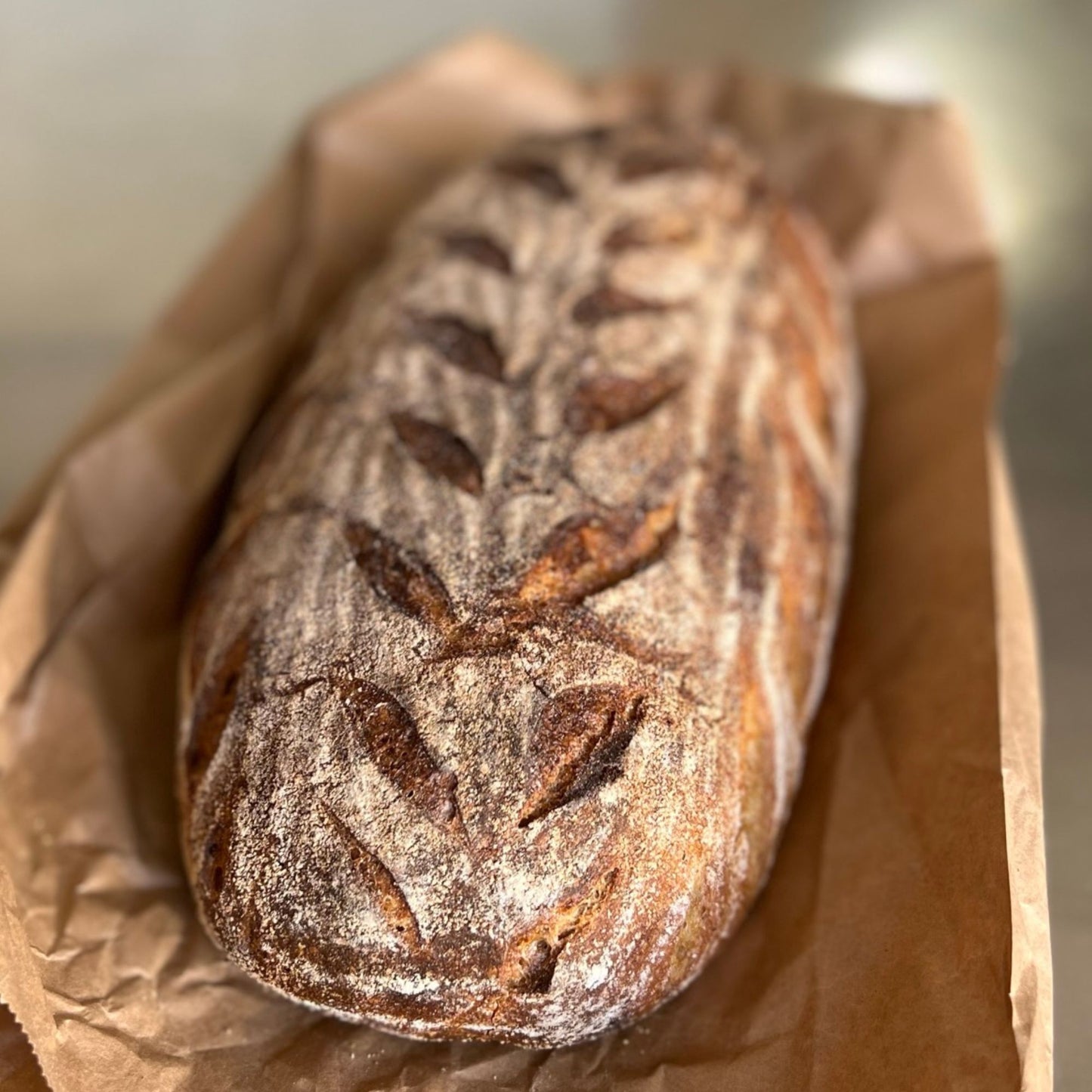 Bread - Country Rye Loaf