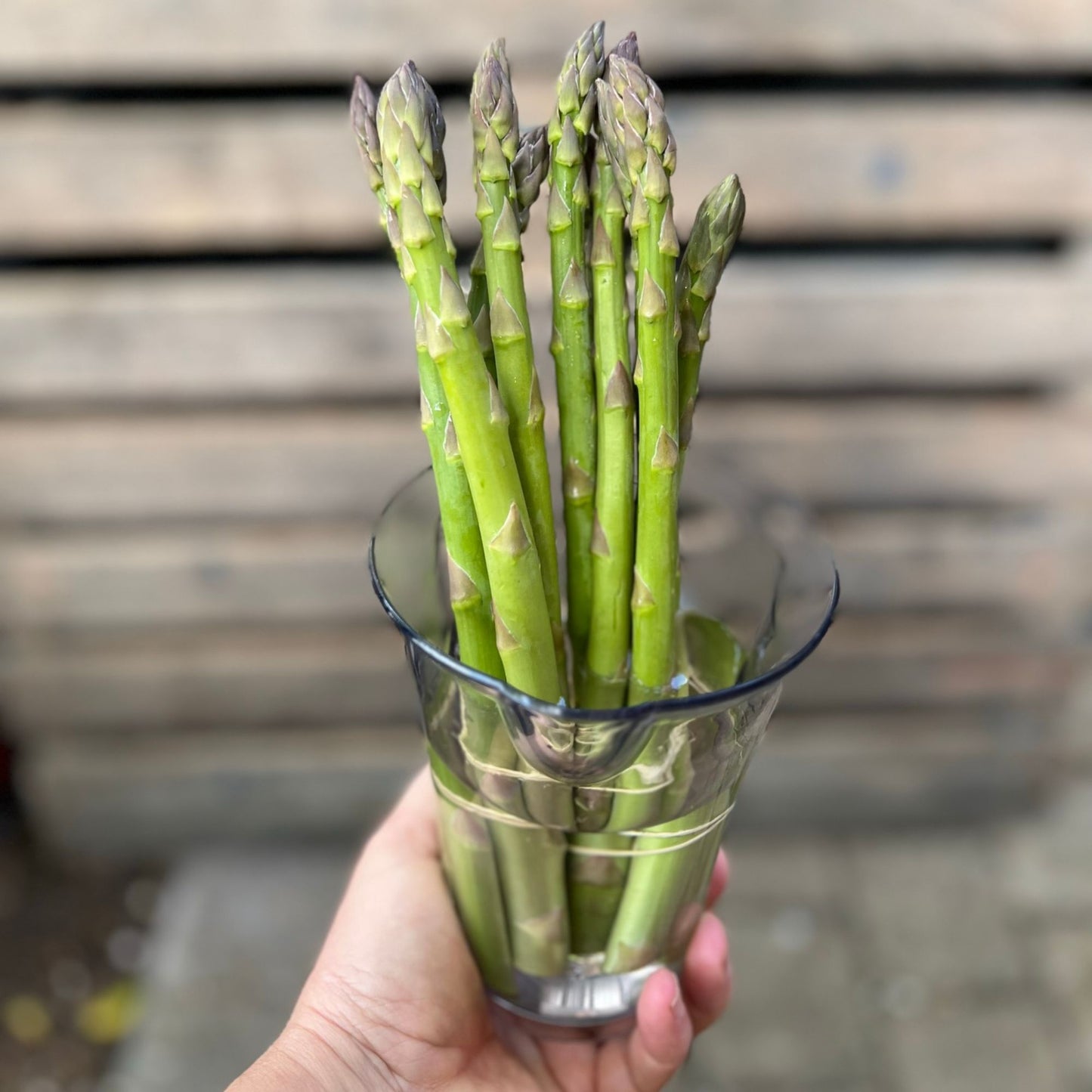 Veg - Asparagus Bunch 150gm